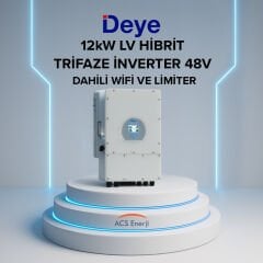 12KW HİBRİT TRİFAZE İNVERTER LV